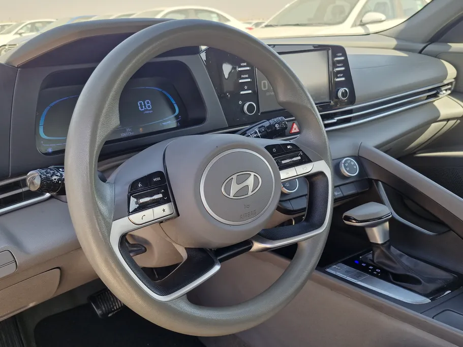 2024 Hyundai Elantra Fleet 