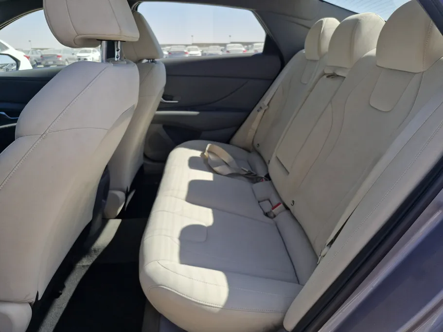 2024 Hyundai Elantra Fleet 