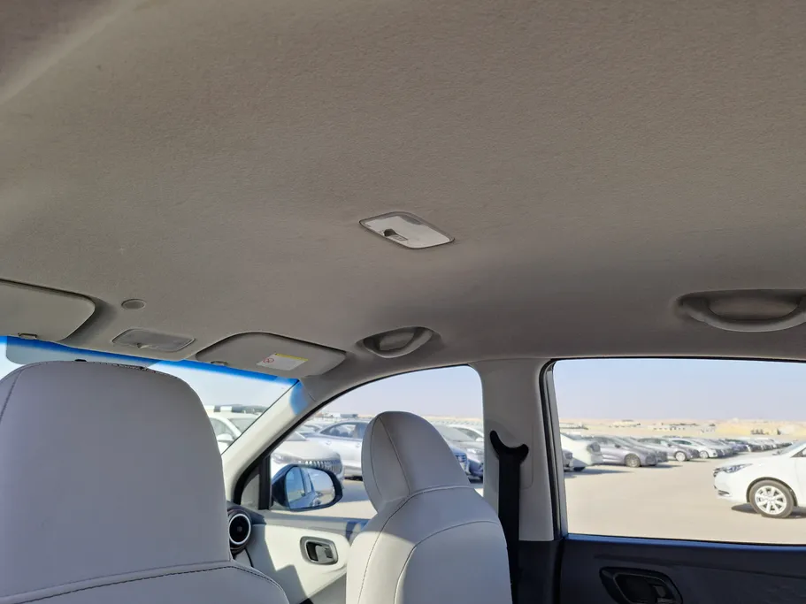 2024 Hyundai Grand i10 Fleet 