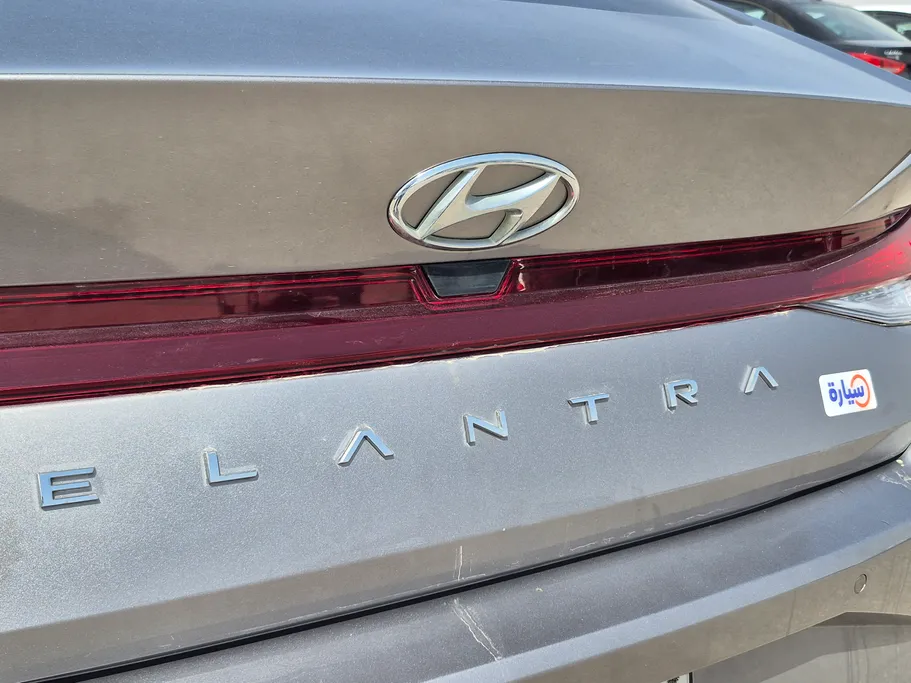 2023 Hyundai Elantra Fleet 