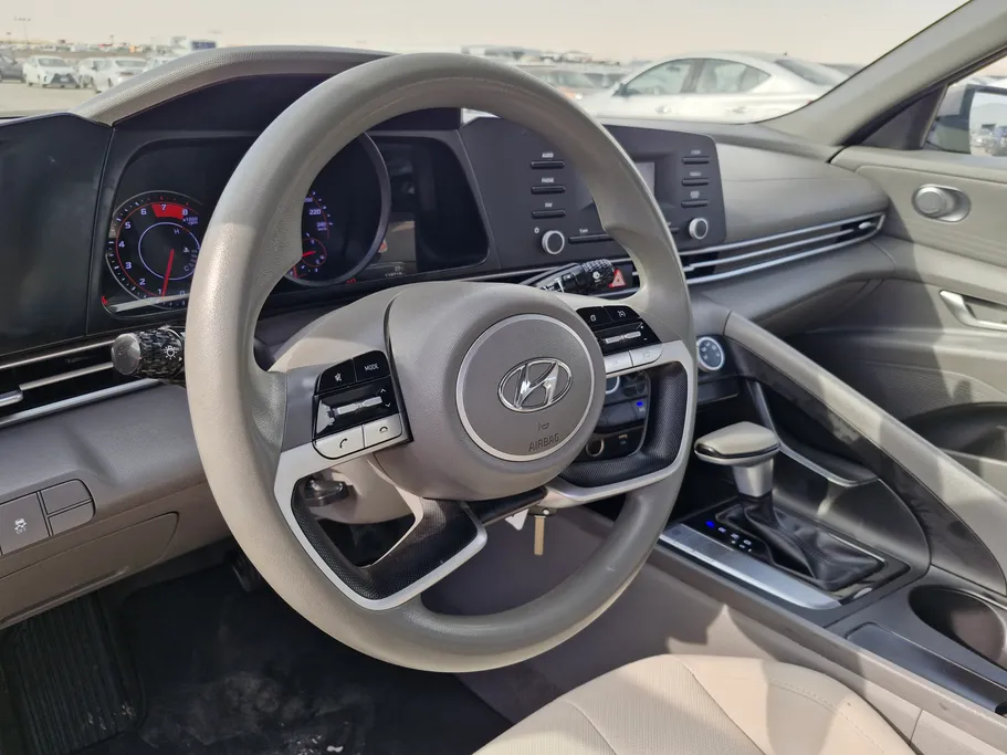 2023 Hyundai Elantra Fleet 