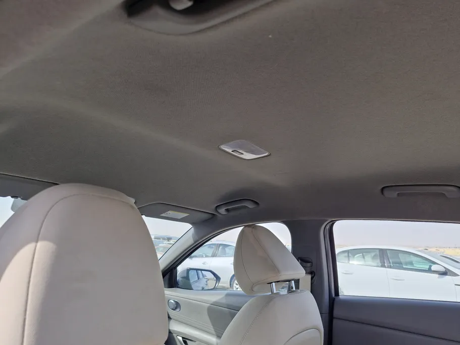 2023 Hyundai Elantra Fleet 