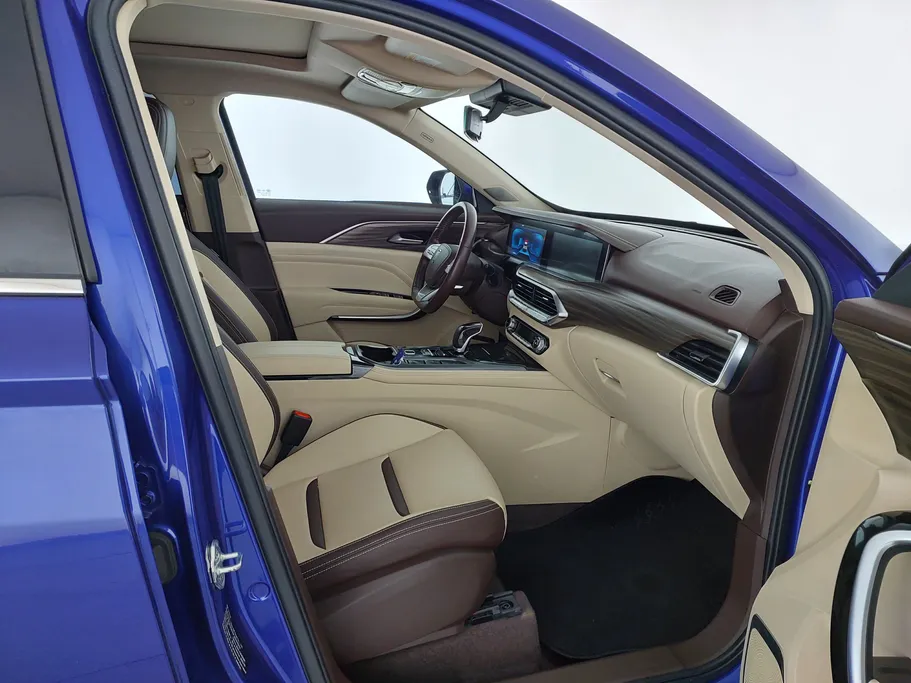 فاو بيستون تي 77  2023 