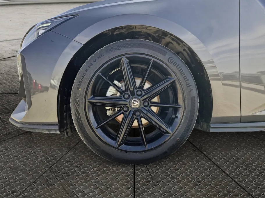 شانجان يوني في Elite 2024 