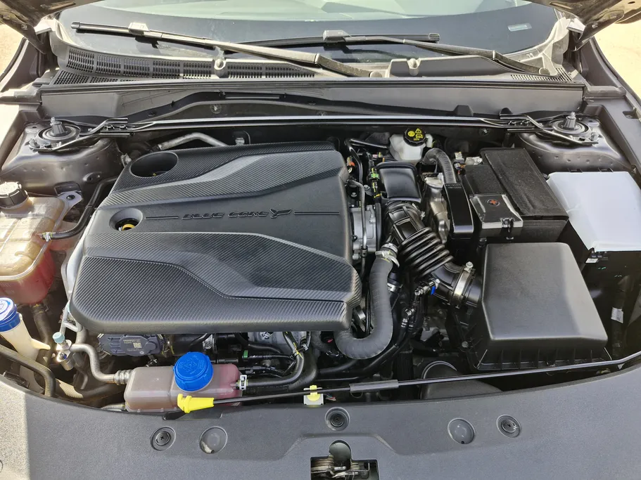 شانجان يوني في Elite 2024 