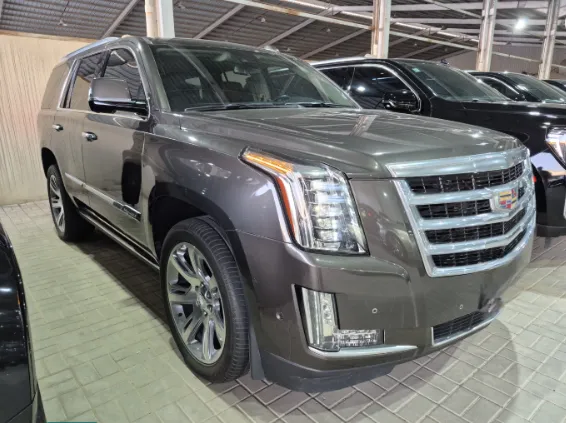 كاديلاك اسكاليد Luxury 2020 