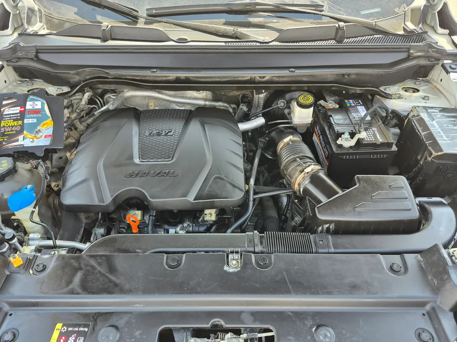 هافال جوليان بيسك 2023 