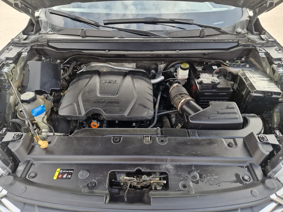 هافال جوليان بيسك 2023 