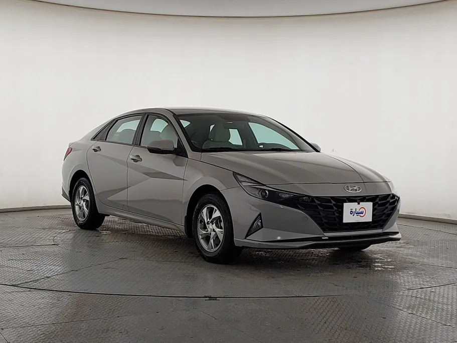 2023 Hyundai Elantra Fleet 