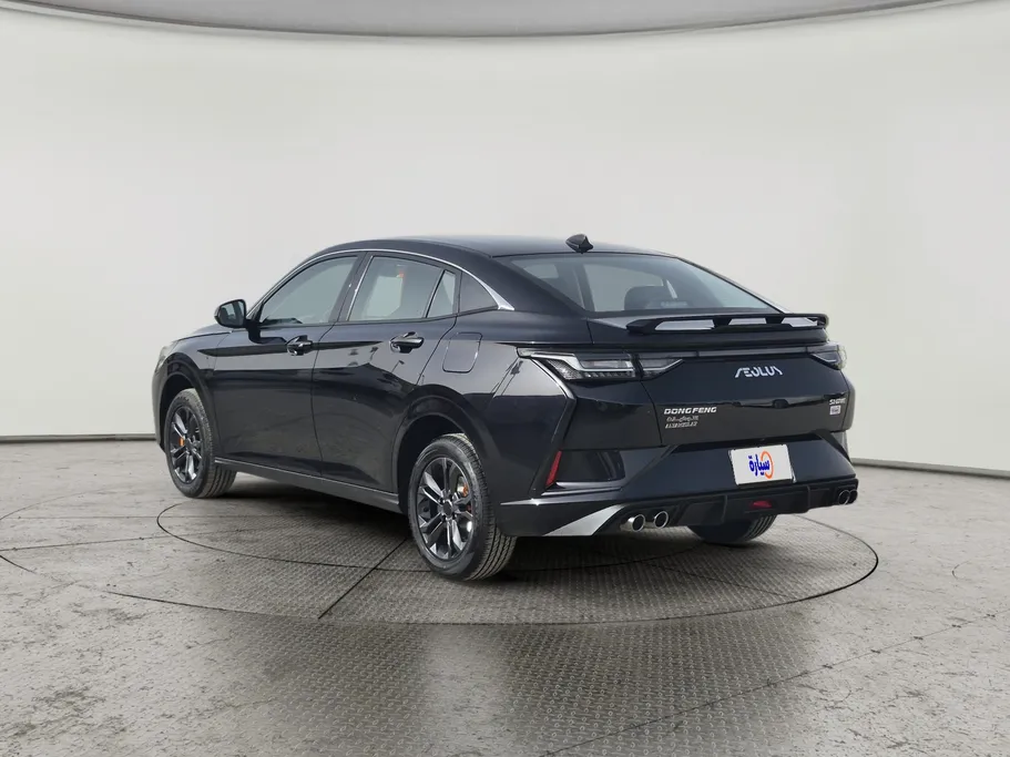 2025 Dongfeng  Shine E1 