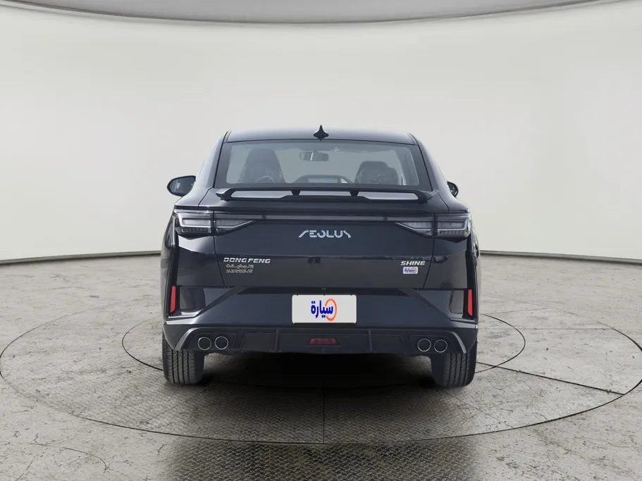 2025 Dongfeng  Shine E1 