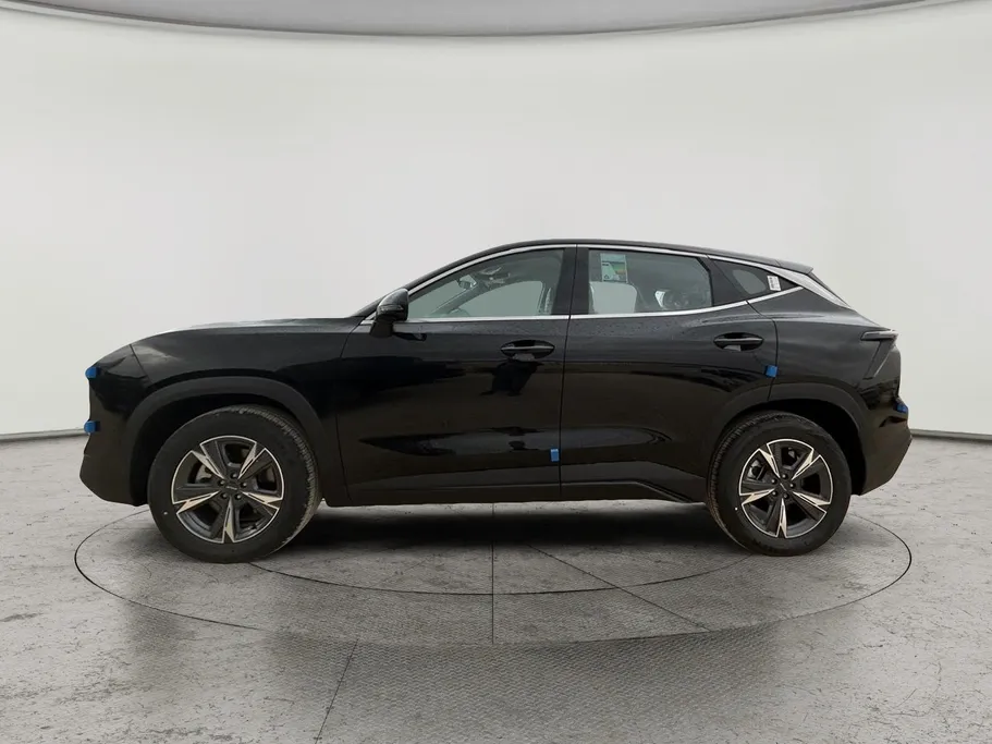 جيتور داشينج كومفورت 2026 