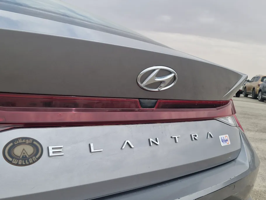 2023 Hyundai Elantra Fleet 