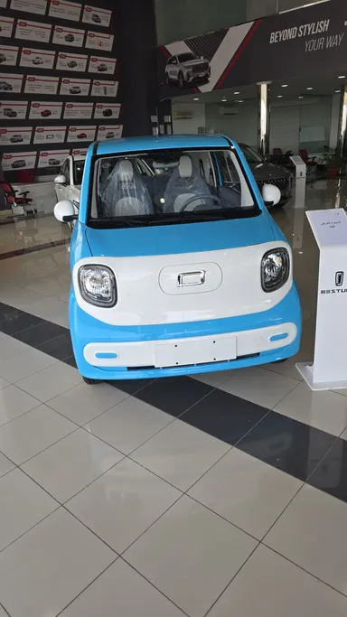 2025 FAW E131 Mini  