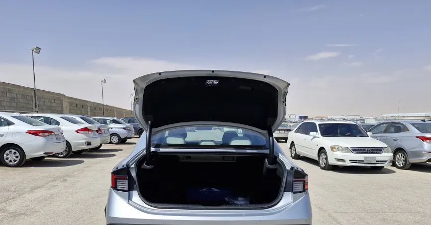 2024 Hyundai Sonata Fleet 