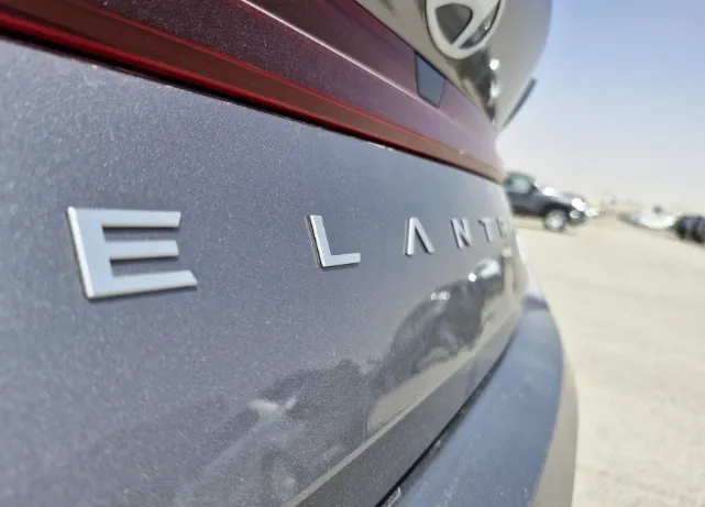 2024 Hyundai Elantra Fleet 