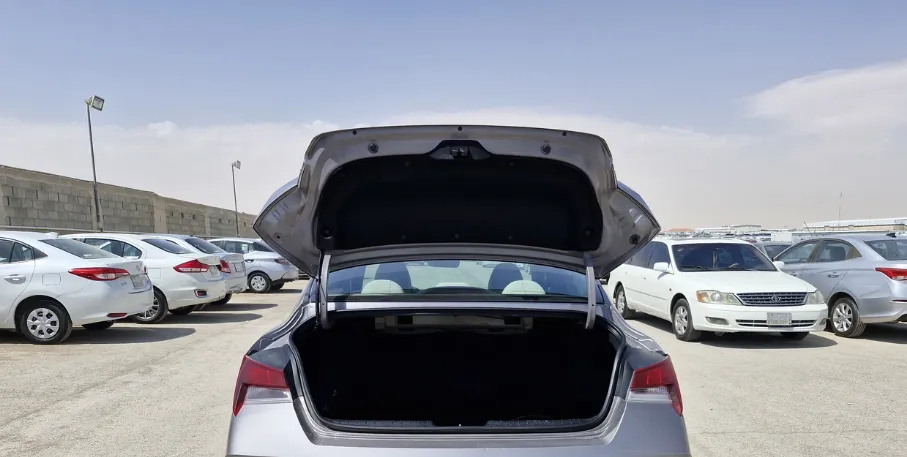 2024 Hyundai Elantra Fleet 