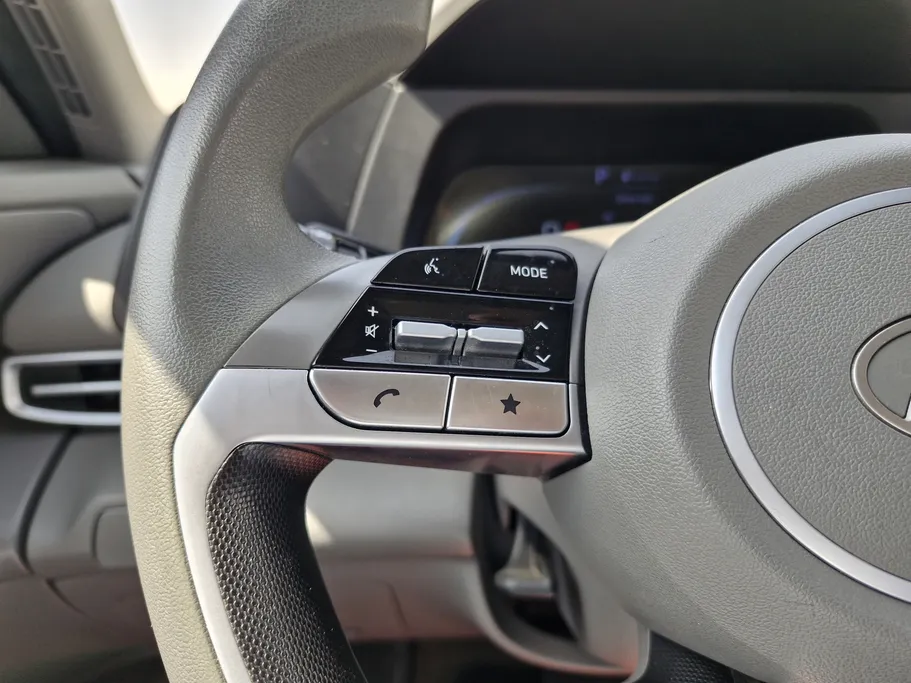 2024 Hyundai Elantra Fleet 