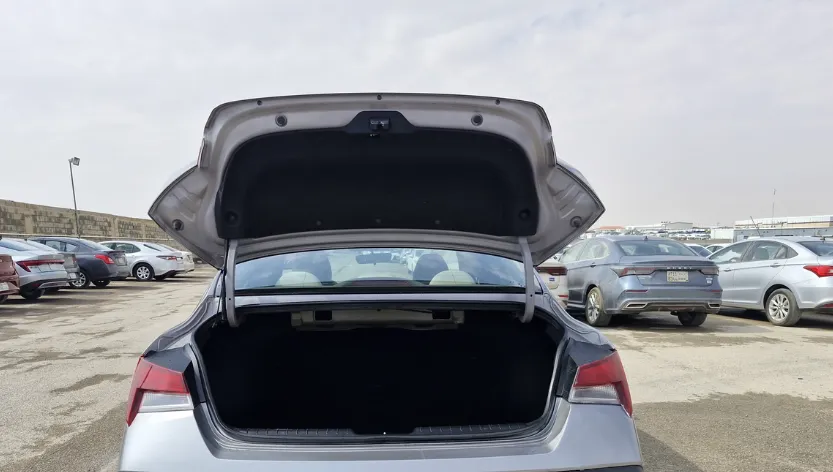 2024 Hyundai Elantra Fleet 