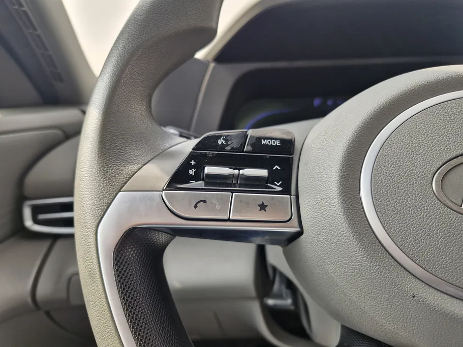 2024 Hyundai Elantra Fleet 