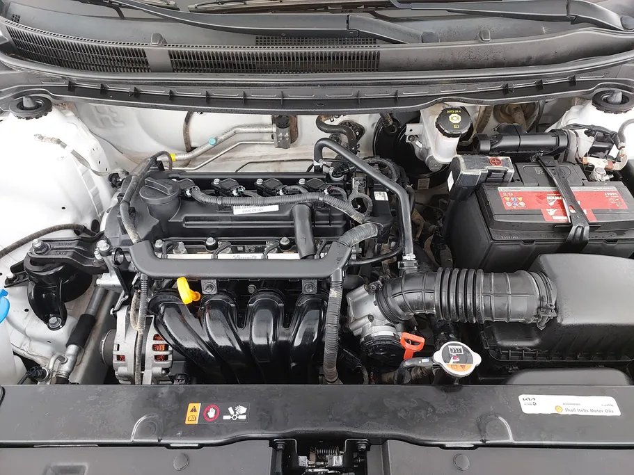 كيا بيجاس LX 2023 