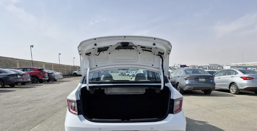 2024 Hyundai Grand i10 Fleet 