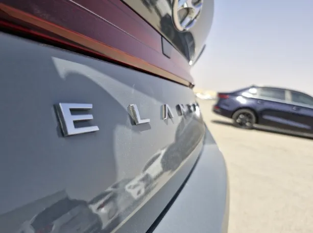 2022 Hyundai Elantra Fleet 