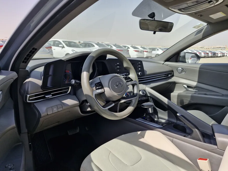 2022 Hyundai Elantra Fleet 