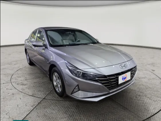 2023 Hyundai Elantra Fleet 