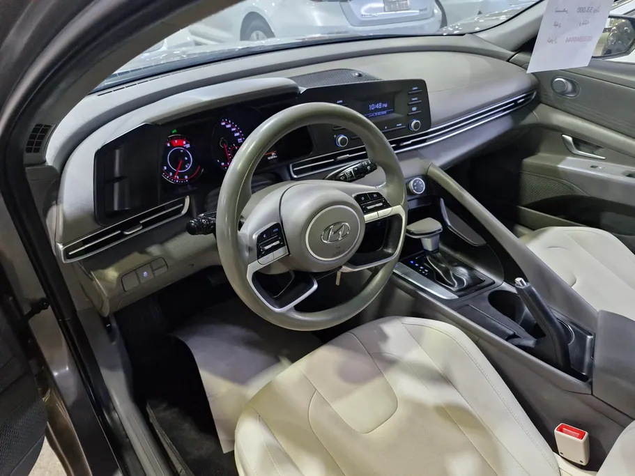 2023 Hyundai Elantra Fleet 