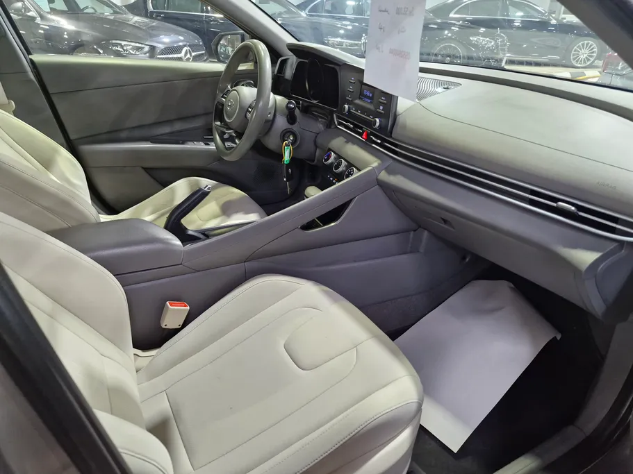 2023 Hyundai Elantra Fleet 