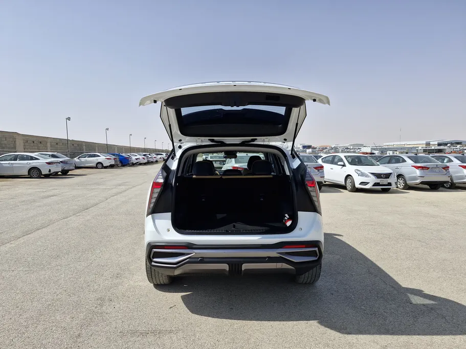 2024 Geely StarRay GK 