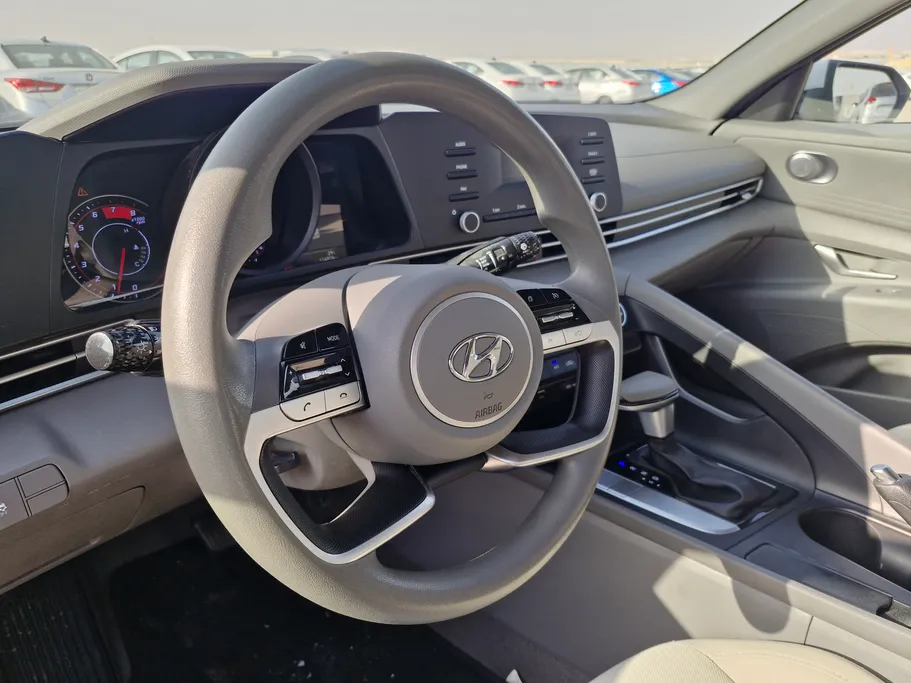 2022 Hyundai Elantra Fleet 