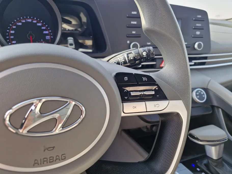 2022 Hyundai Elantra Fleet 