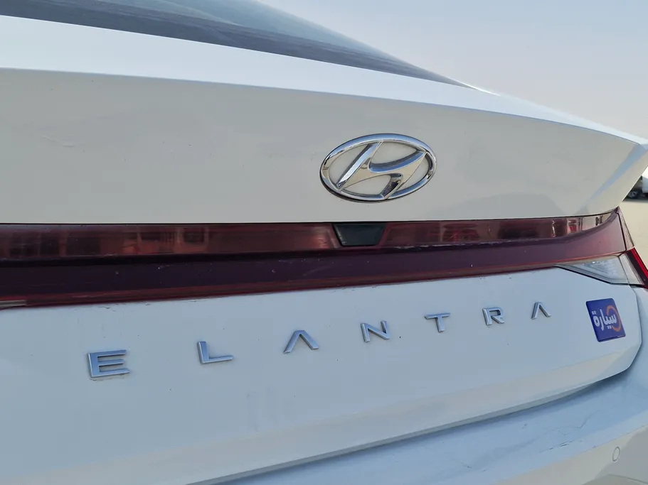 2022 Hyundai Elantra Fleet 