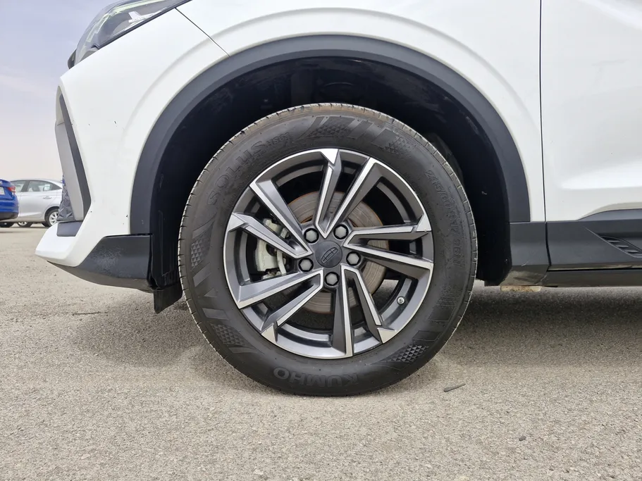 جيلي كول راي Basic GS 2024 