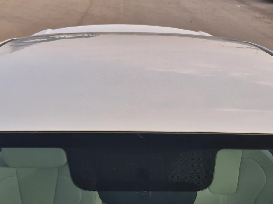 2023 Hyundai Elantra Fleet 