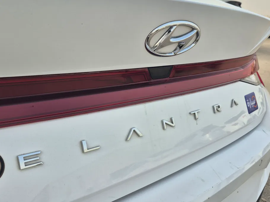 2023 Hyundai Elantra Fleet 