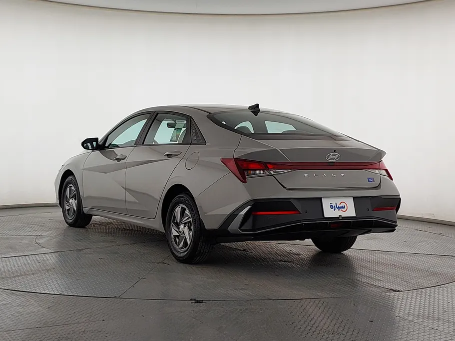 2024 Hyundai Elantra Fleet 