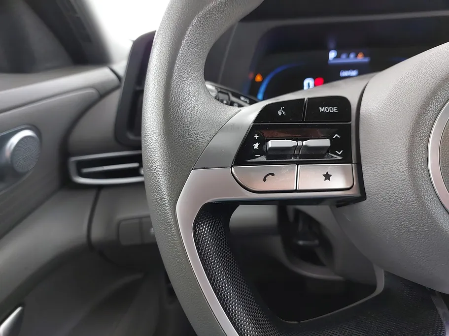 2024 Hyundai Elantra Fleet 