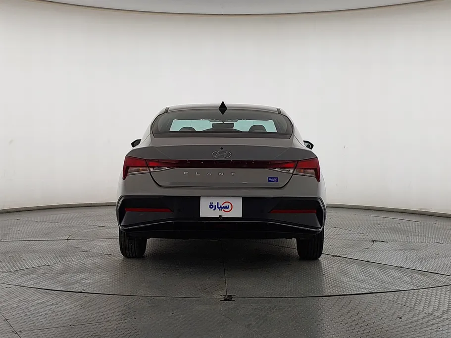 2024 Hyundai Elantra Fleet 