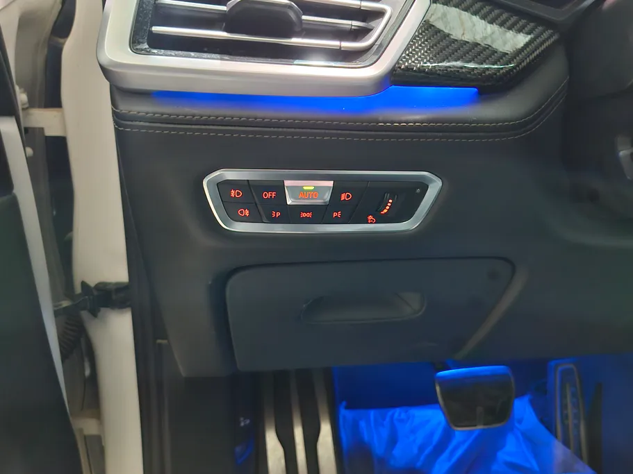 2020 BMW X Series 6 M 50i  