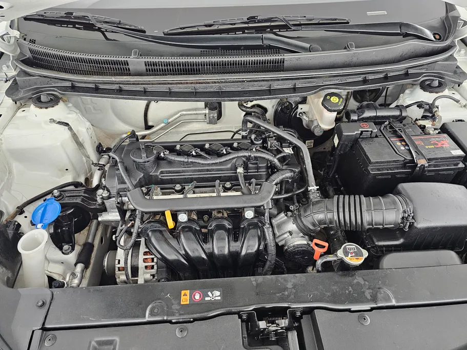 كيا بيجاس LX 2023 