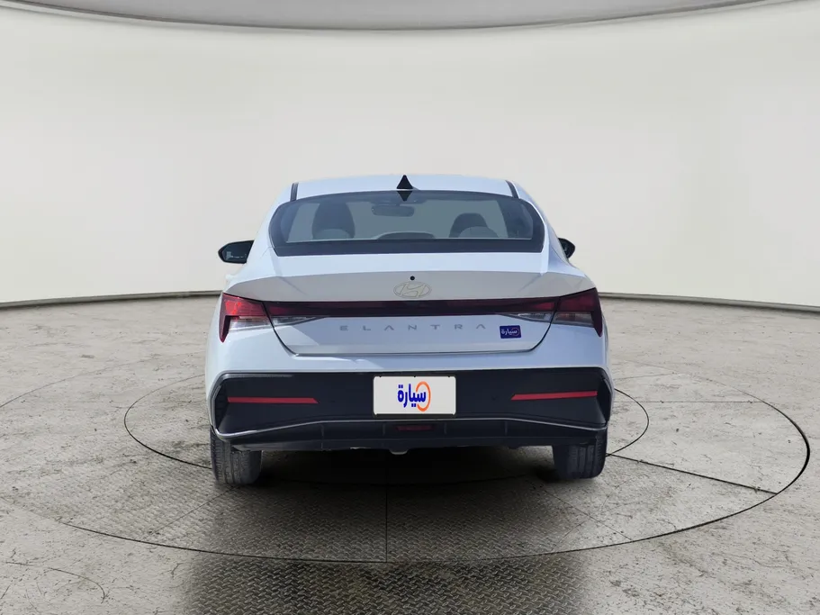 2024 Hyundai Elantra Fleet 