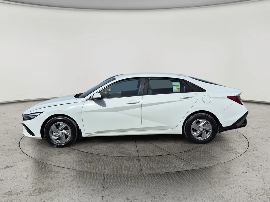 2024 Hyundai Elantra Fleet 