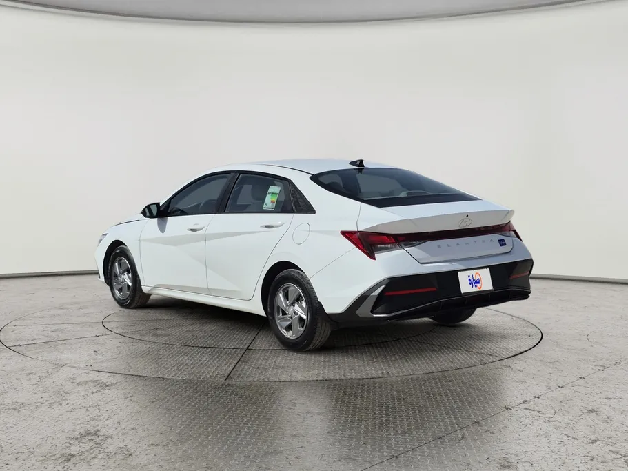 2024 Hyundai Elantra Fleet 