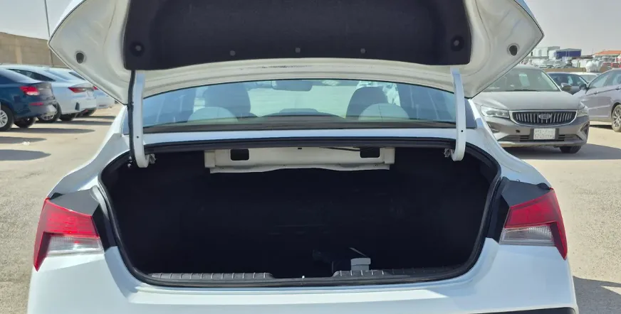 2024 Hyundai Elantra Fleet 