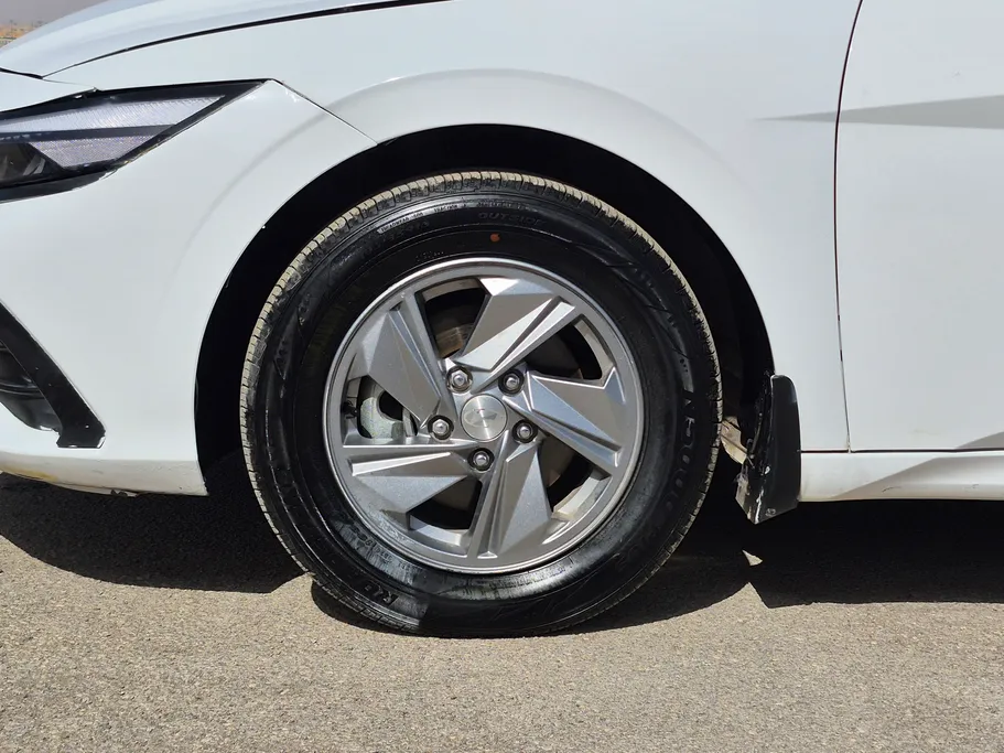 2024 Hyundai Elantra Fleet 