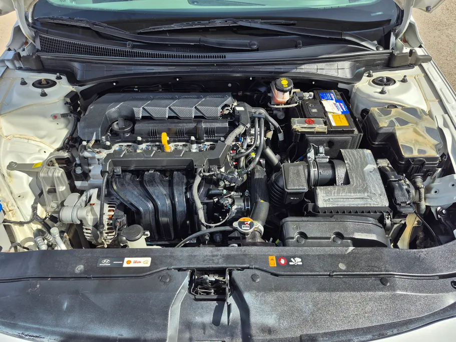 2024 Hyundai Elantra Fleet 