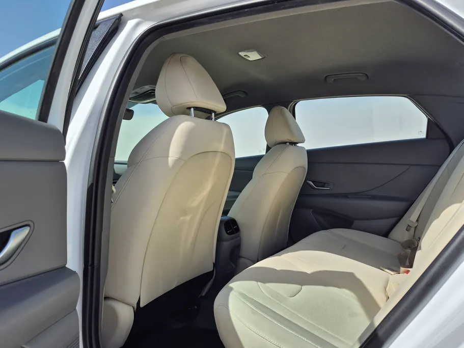 2024 Hyundai Elantra Fleet 